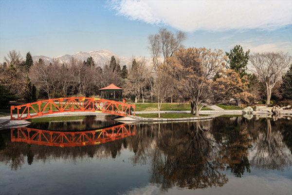 ساختار باغ ملی گیاه شناسی ایران به چه صورت است